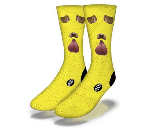 Dog Filter Socks