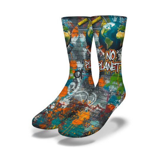 Change the Earth Socks