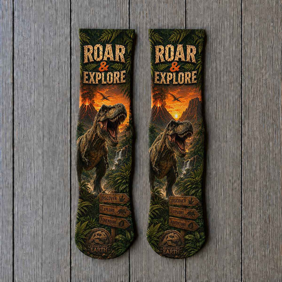 Dino Roar and Explore socks