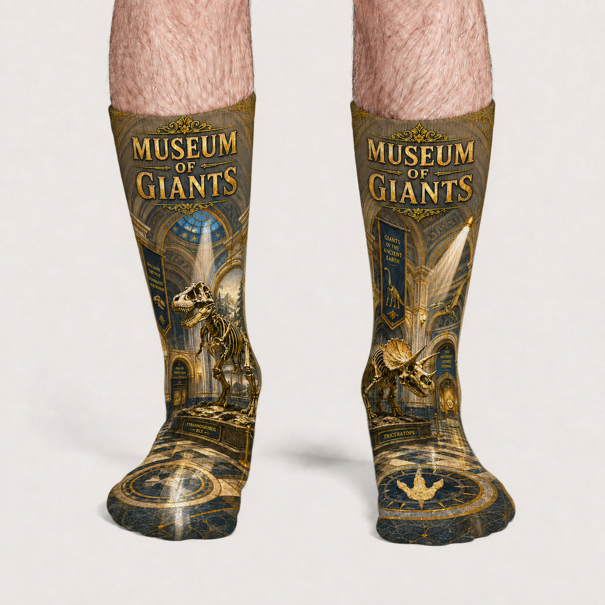 Dino Museum Of Giants socks