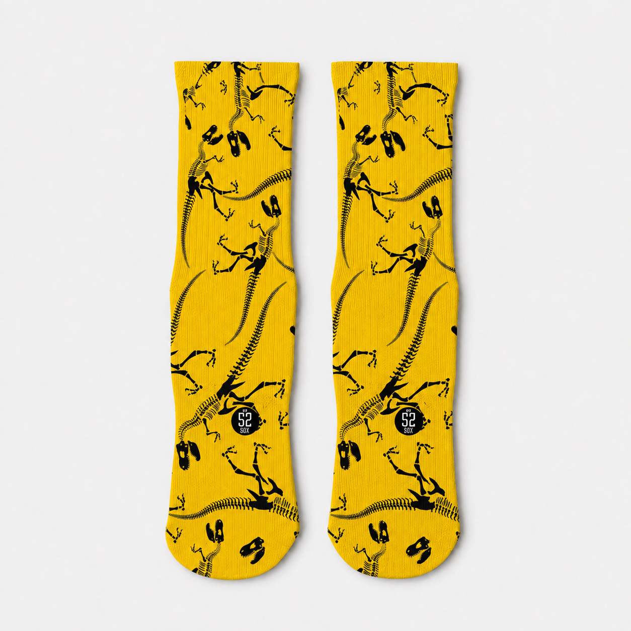 T-Rex Colossal Fossils Socks