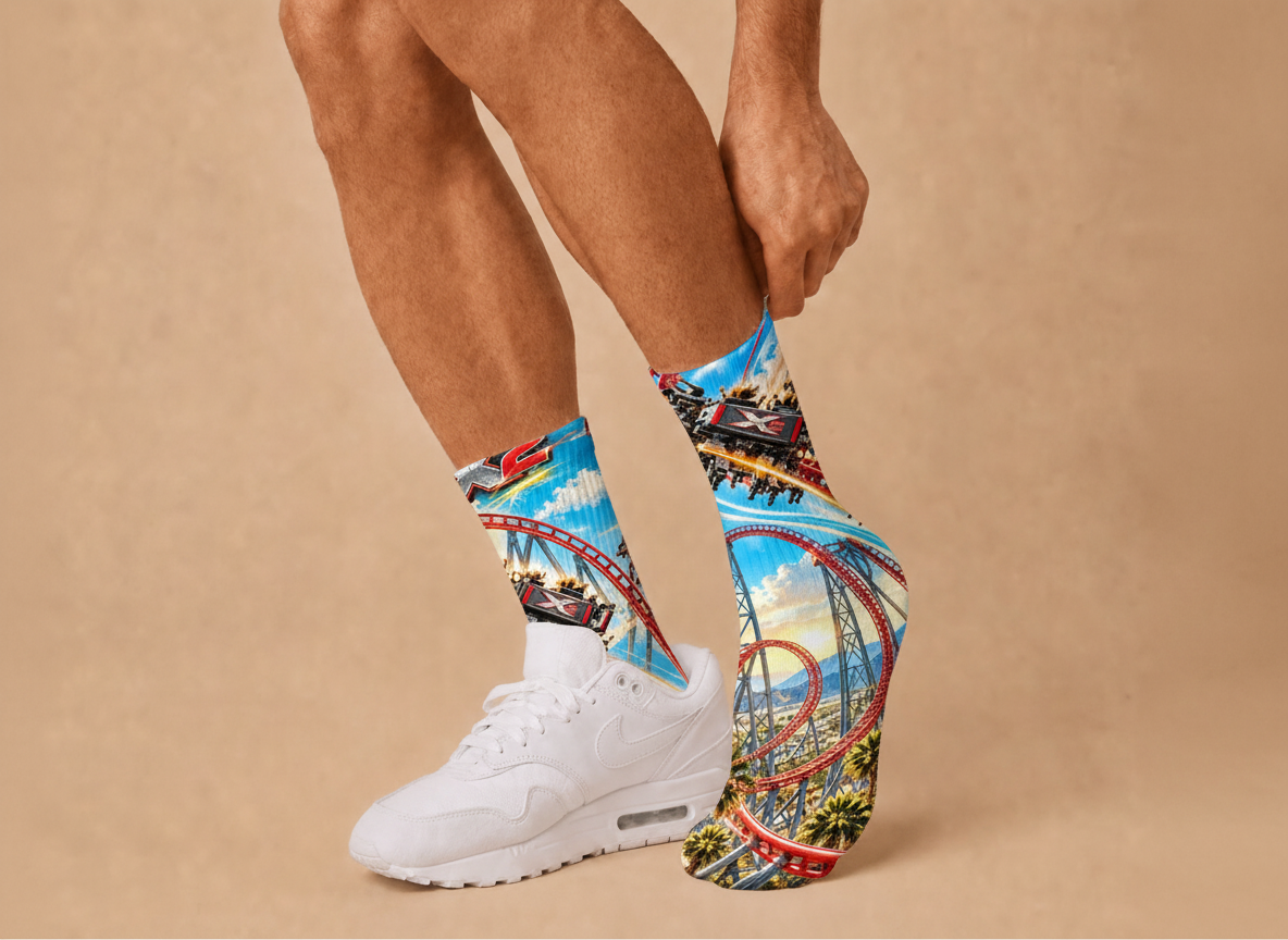 X2 Roller Coaster I Survived socks