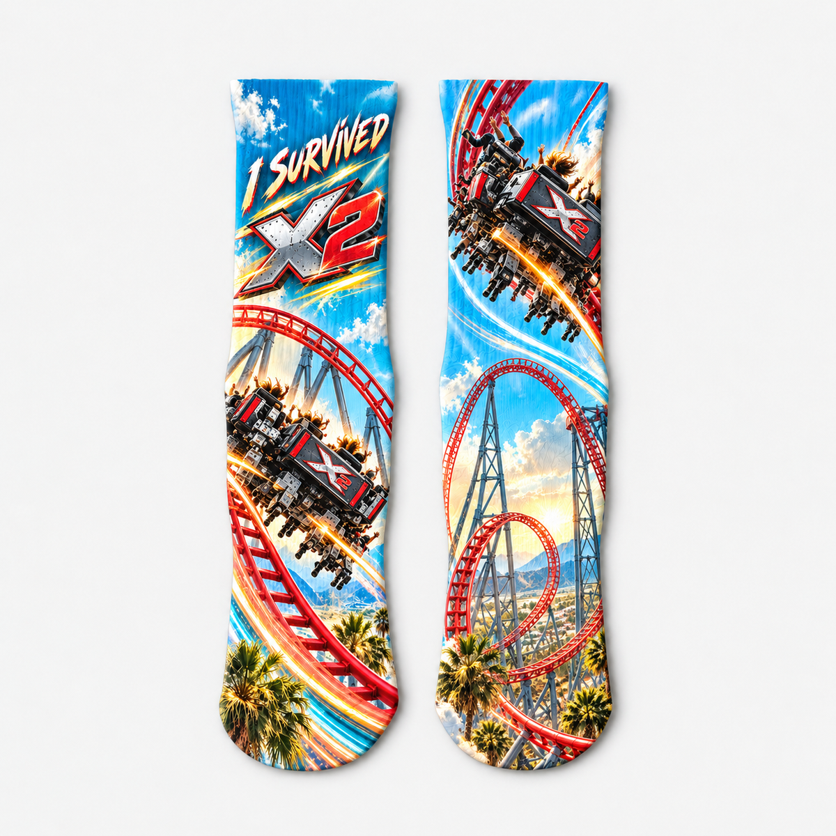 X2 Roller Coaster I Survived socks