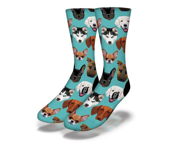 WHO LET THE DOGS OUT? Fun Dog Socks (aqua)