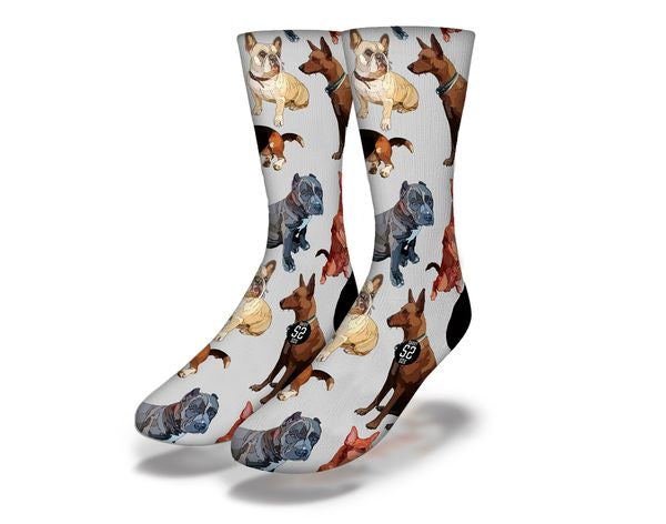 WHO LET THE DOGS OUT? Fun Dog Socks (gray)