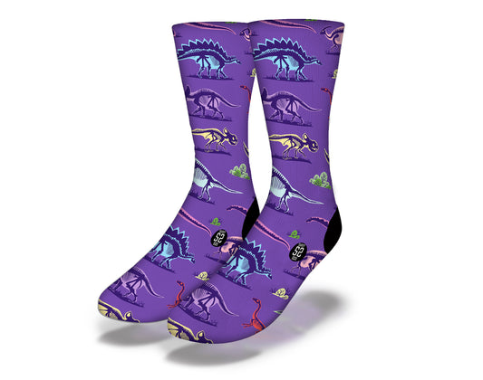 JURASSIC X-RAYS Fun Dinosaur Socks