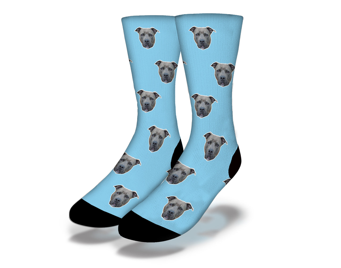 PUPPY DOG EYES Cute Dog Socks (Aqua)