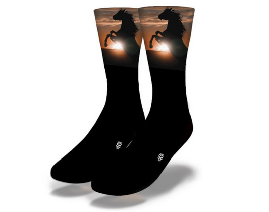 STALLION SUNSET REARING HORSE Fun Animal Socks