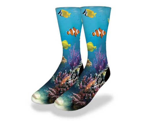 CORAL REEF YELLOW TANG & CLOWN FISH Fun Sea Life Socks