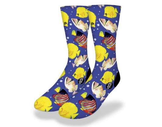 BUTTERFLY & CLOWN FISH Fun Fish Socks