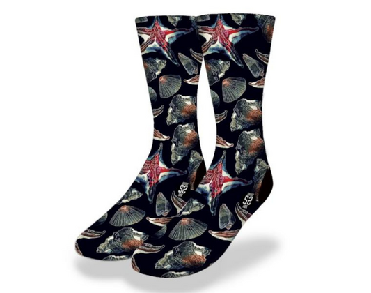 NIGHT SWIMMING SEA SHELLS Fun Sea Life Socks